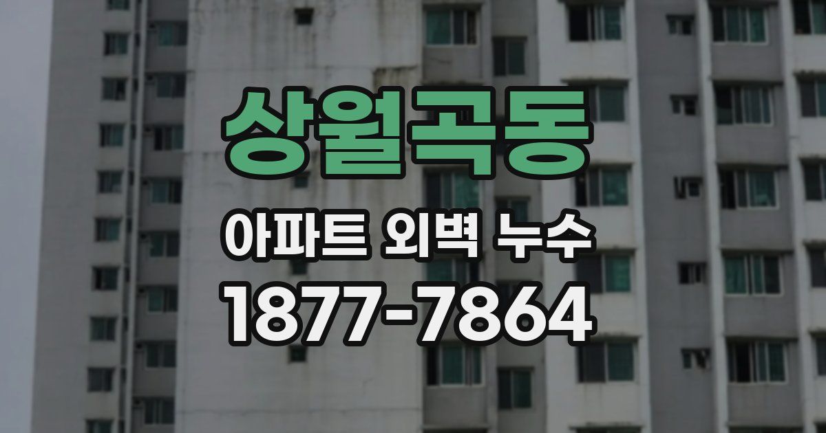 상월곡동 아파트 외벽 누수