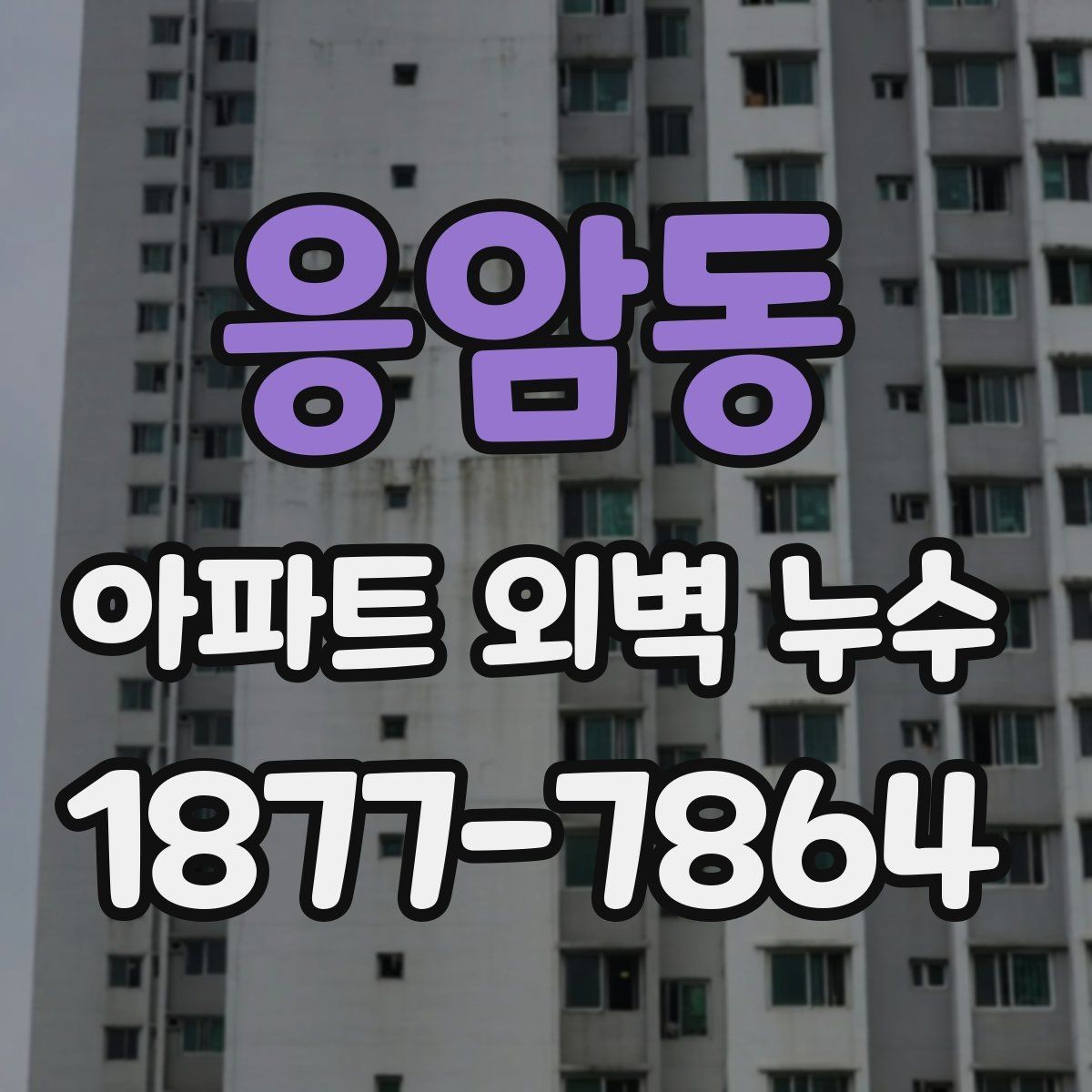 응암동 아파트 외벽 누수 원인별 점검 포인트 정리