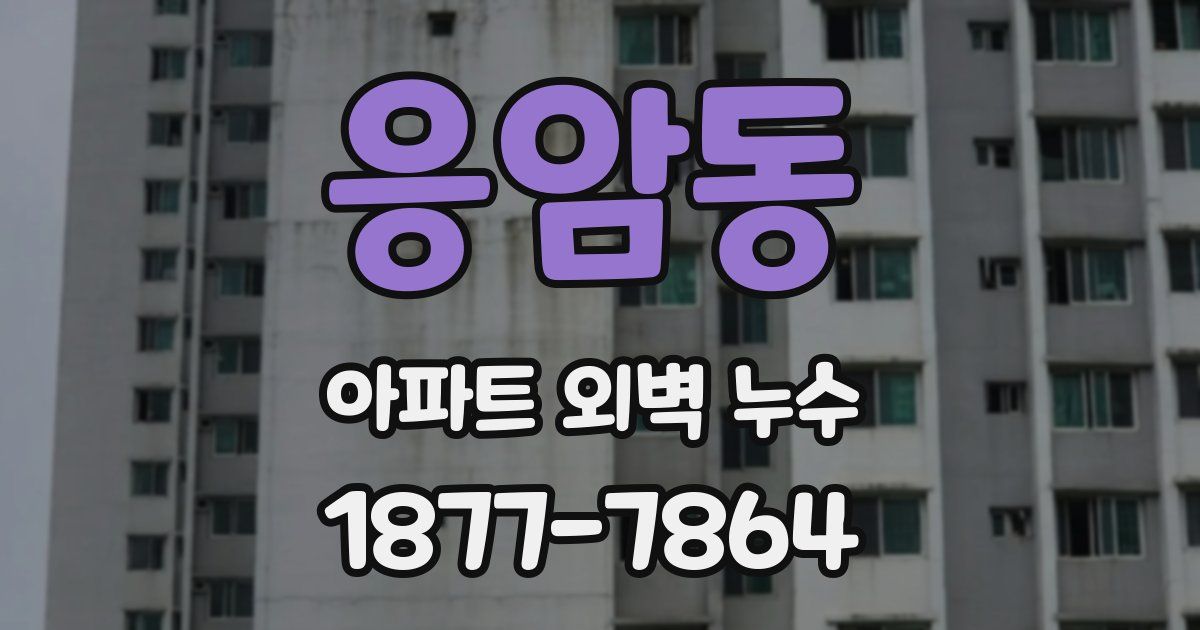응암동 아파트 외벽 누수