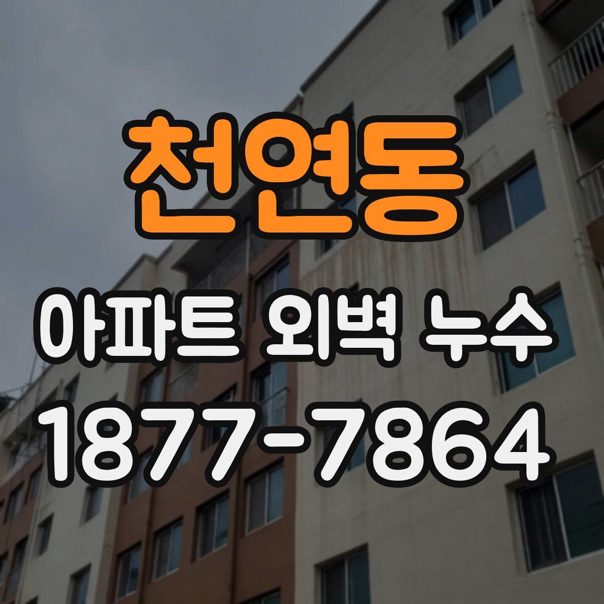 천연동 아파트 외벽 누수