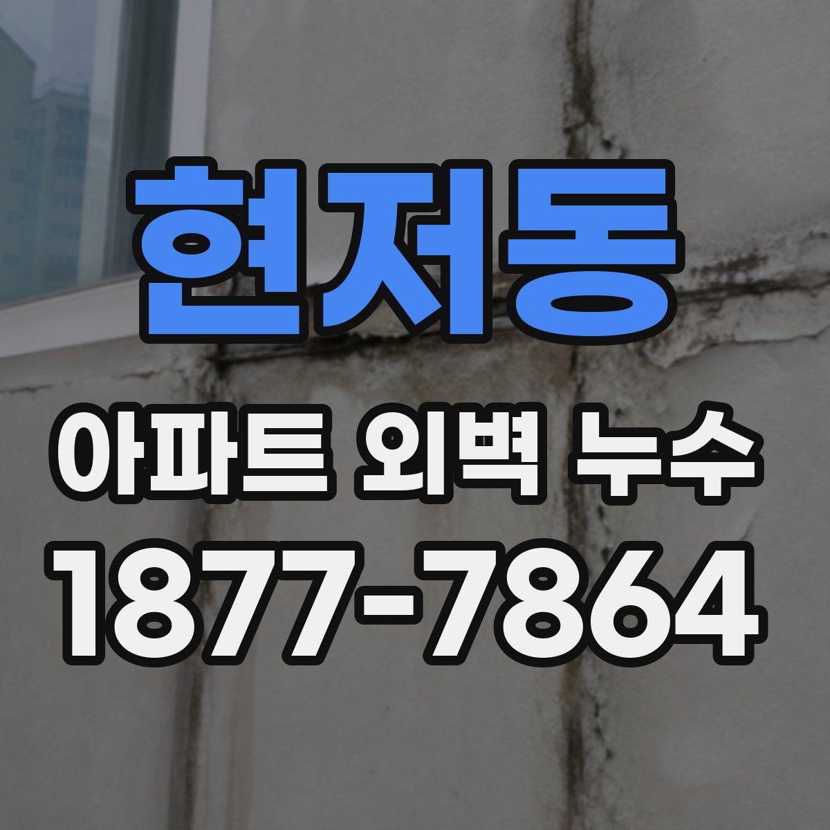 현저동 아파트 외벽 누수