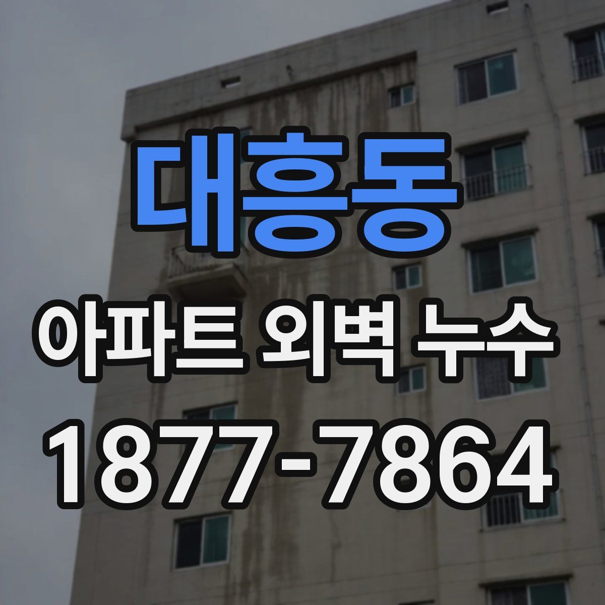 대흥동 아파트 외벽 누수