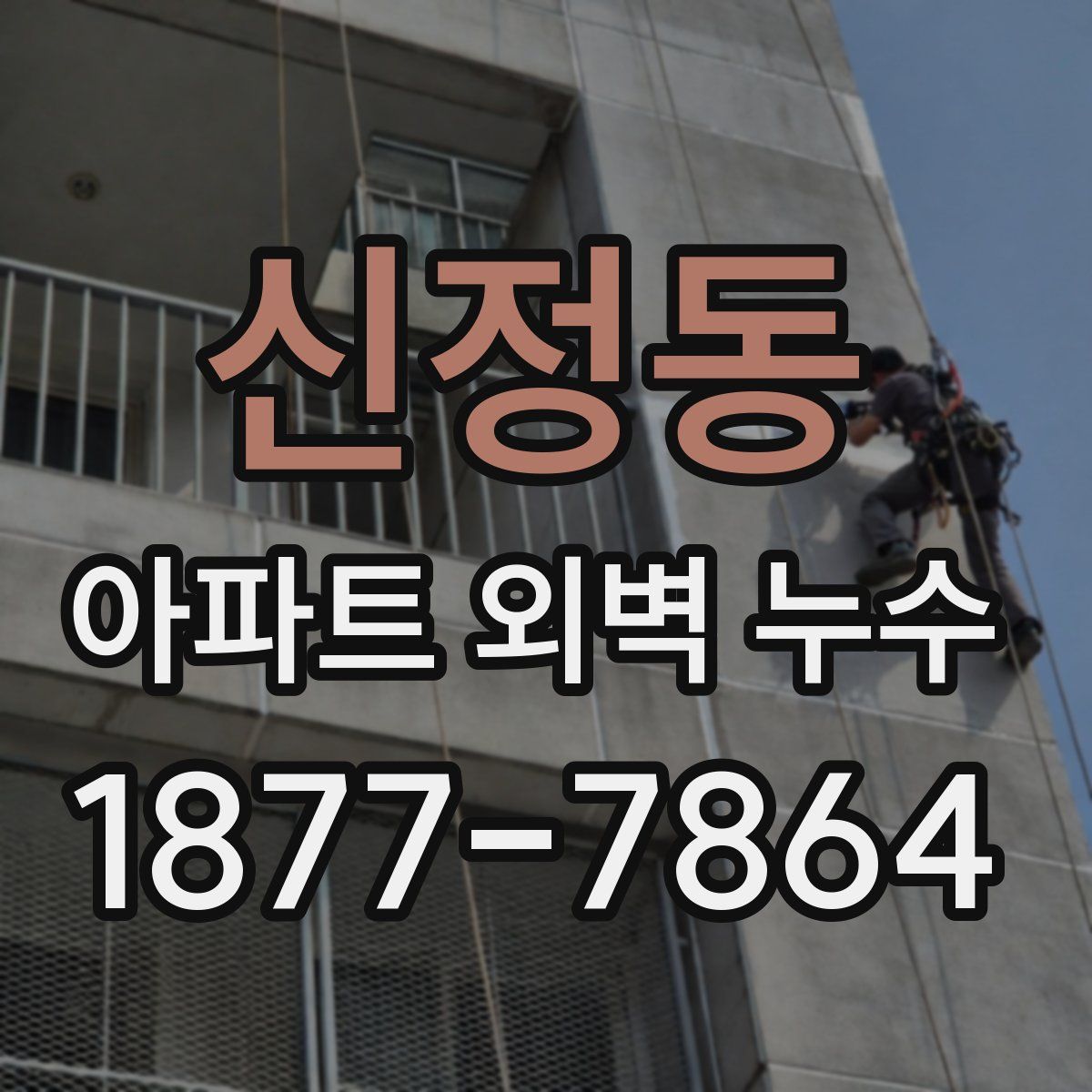 신정동 아파트 외벽 누수