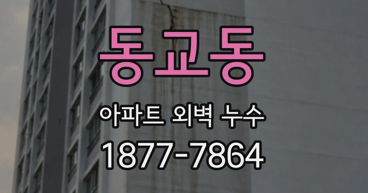 동교동 아파트 외벽 누수