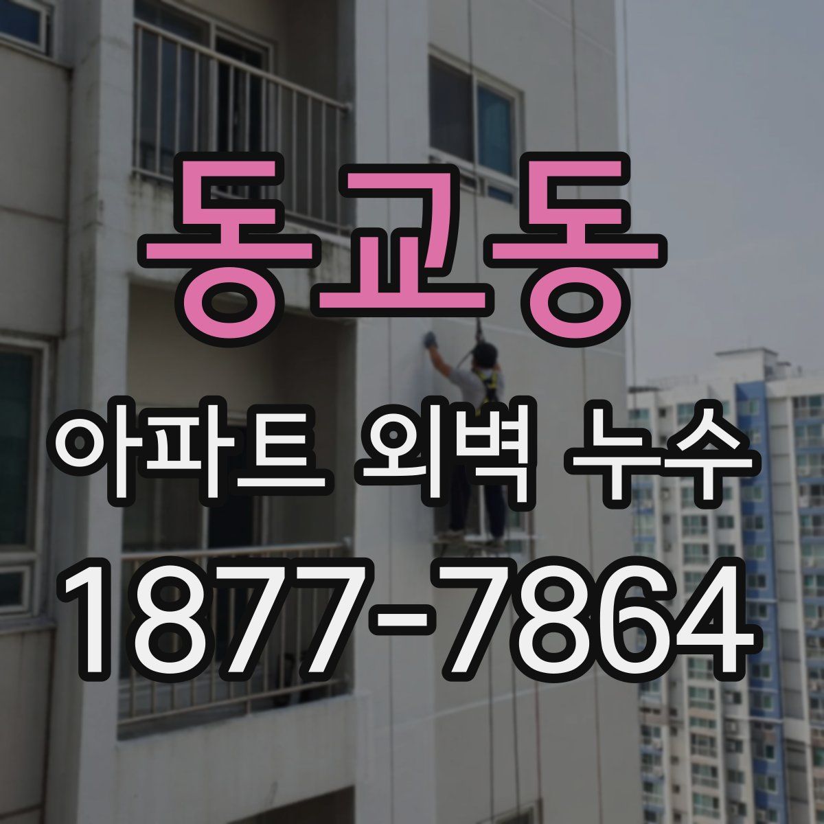 동교동 아파트 외벽 누수