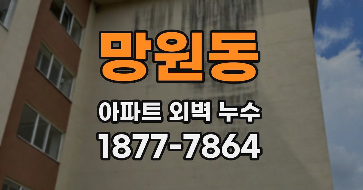 망원동 아파트 외벽 누수