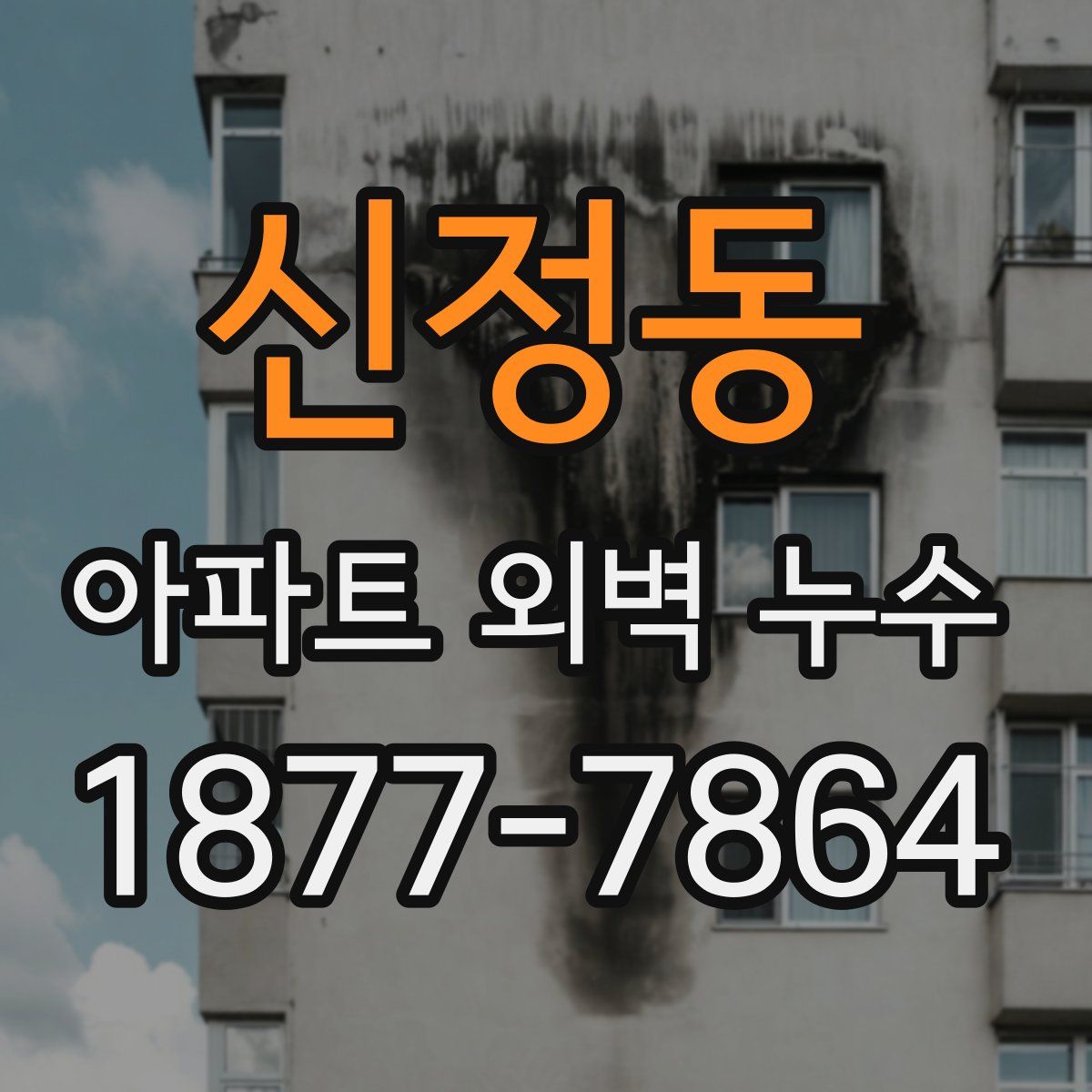 신정동 아파트 외벽 누수