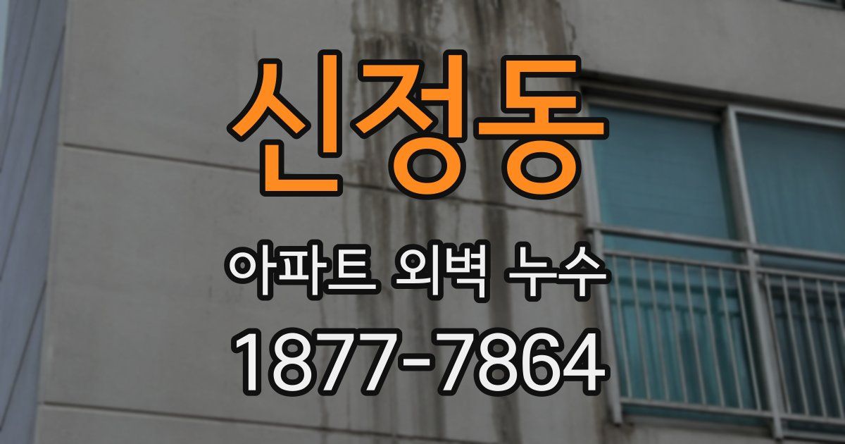 신정동 아파트 외벽 누수
