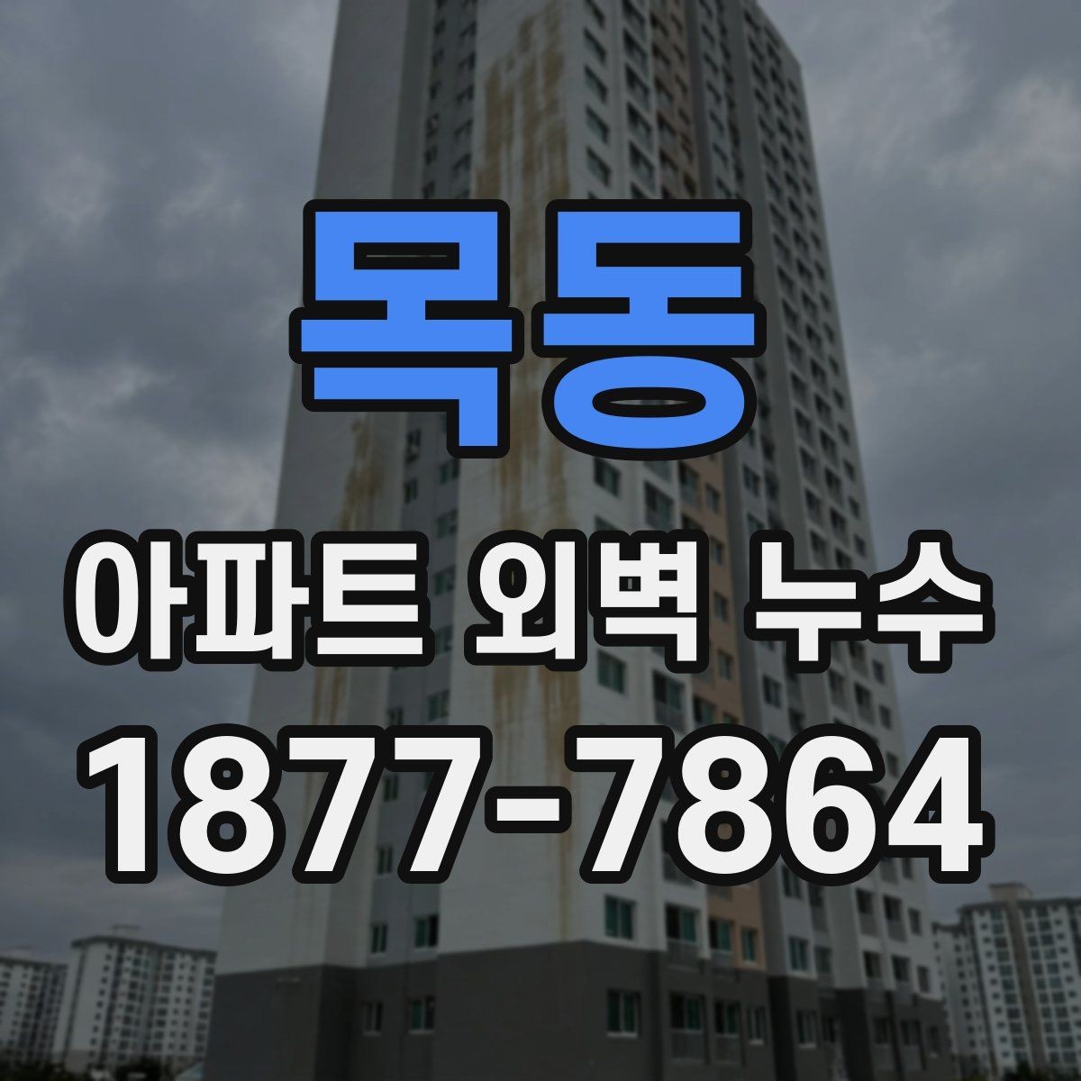 목동 아파트 외벽 누수 원인과 보수 방법을 한눈에