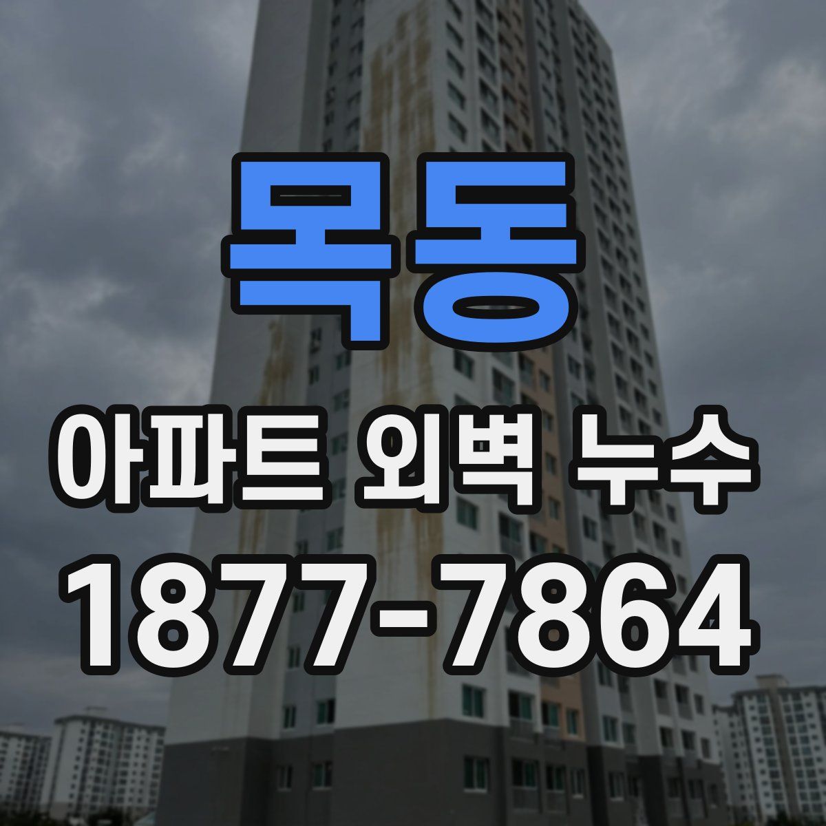 목동 아파트 외벽 누수