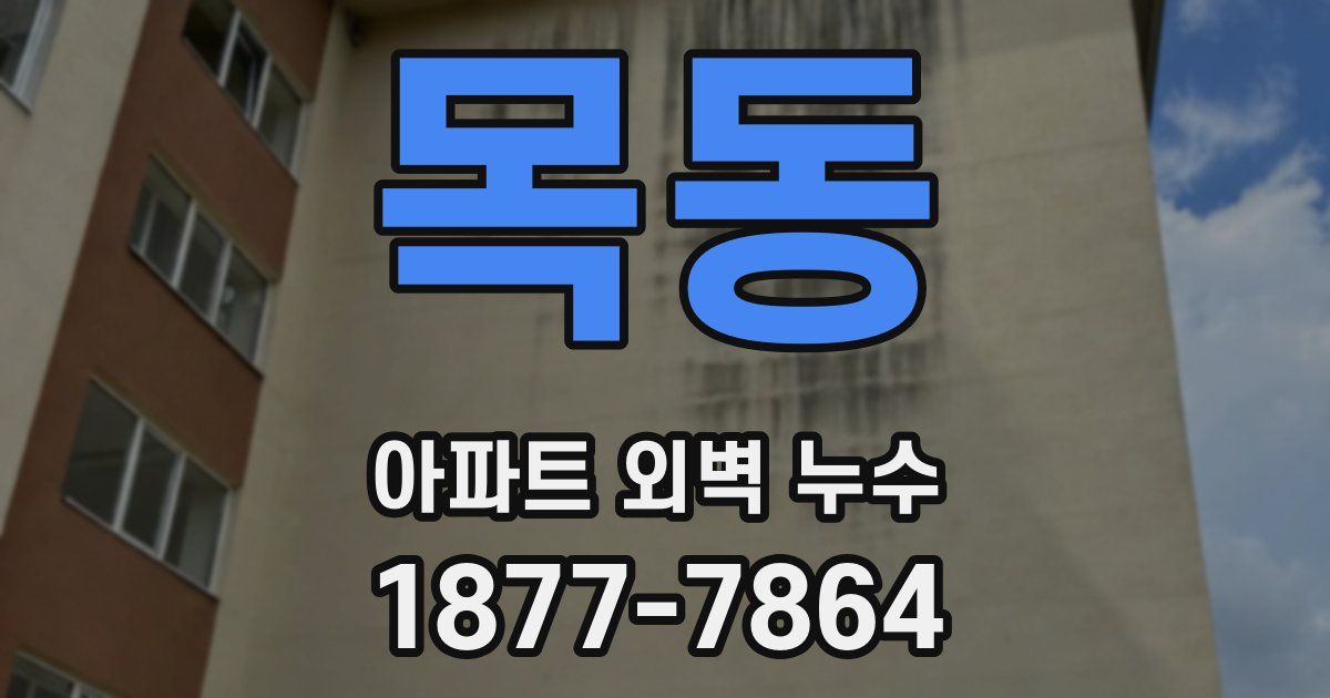 목동 아파트 외벽 누수