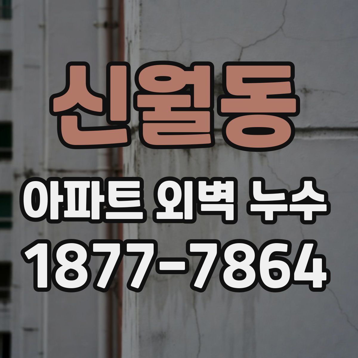신월동 아파트 외벽 누수