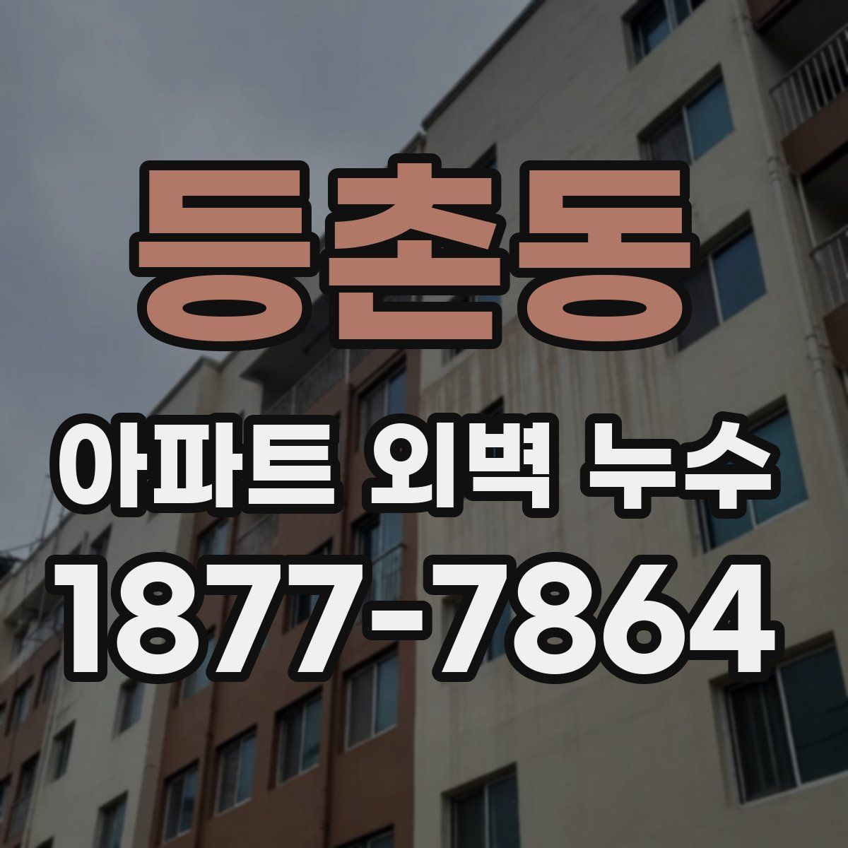 등촌동 아파트 외벽 누수
