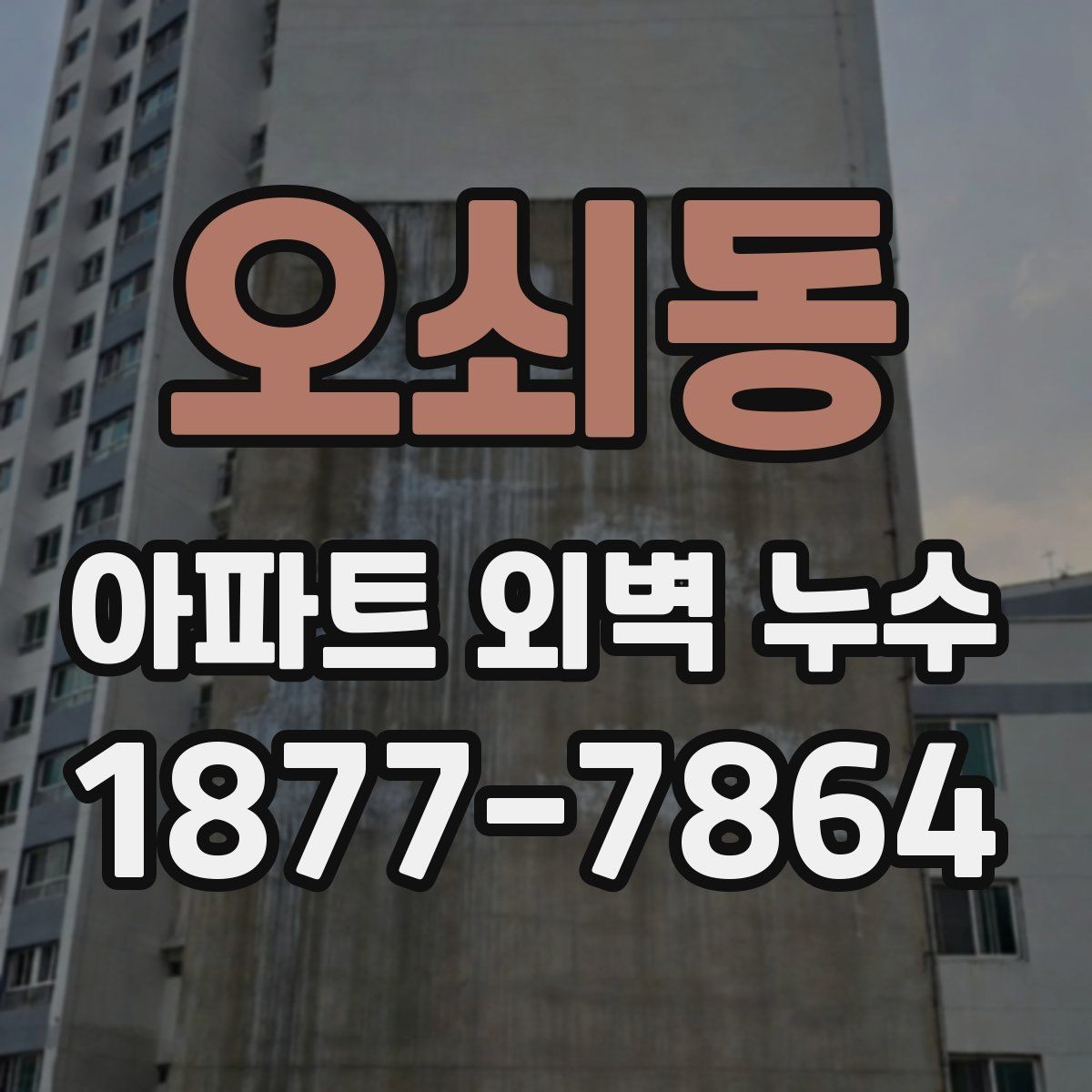오쇠동 아파트 외벽 누수 발생 후 실내 손상 확인 방법