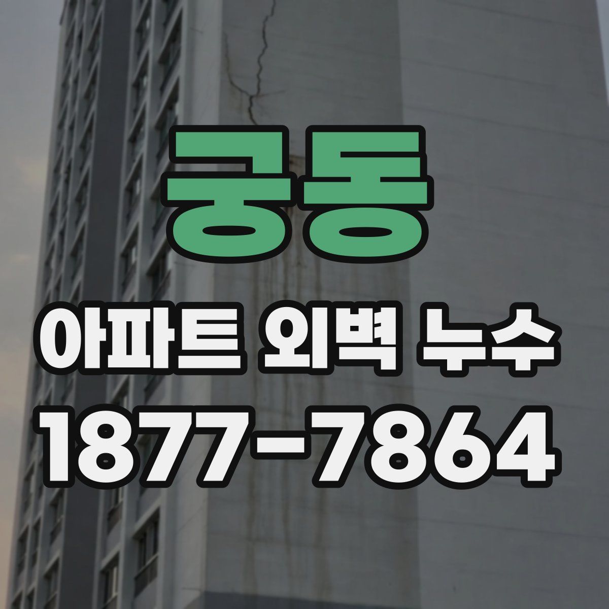 궁동 아파트 외벽 누수