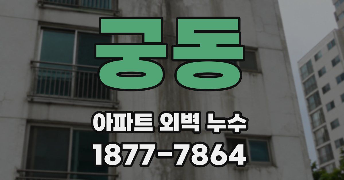 궁동 아파트 외벽 누수