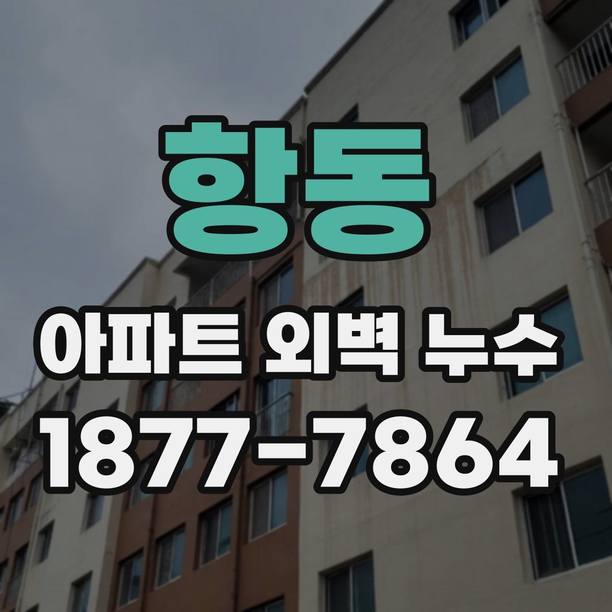 항동 아파트 외벽 누수