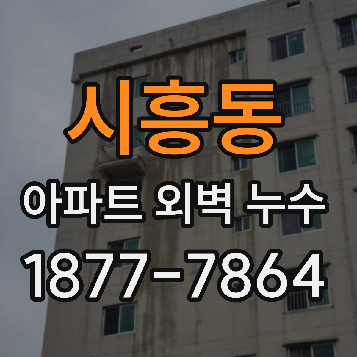 시흥동 아파트 외벽 누수