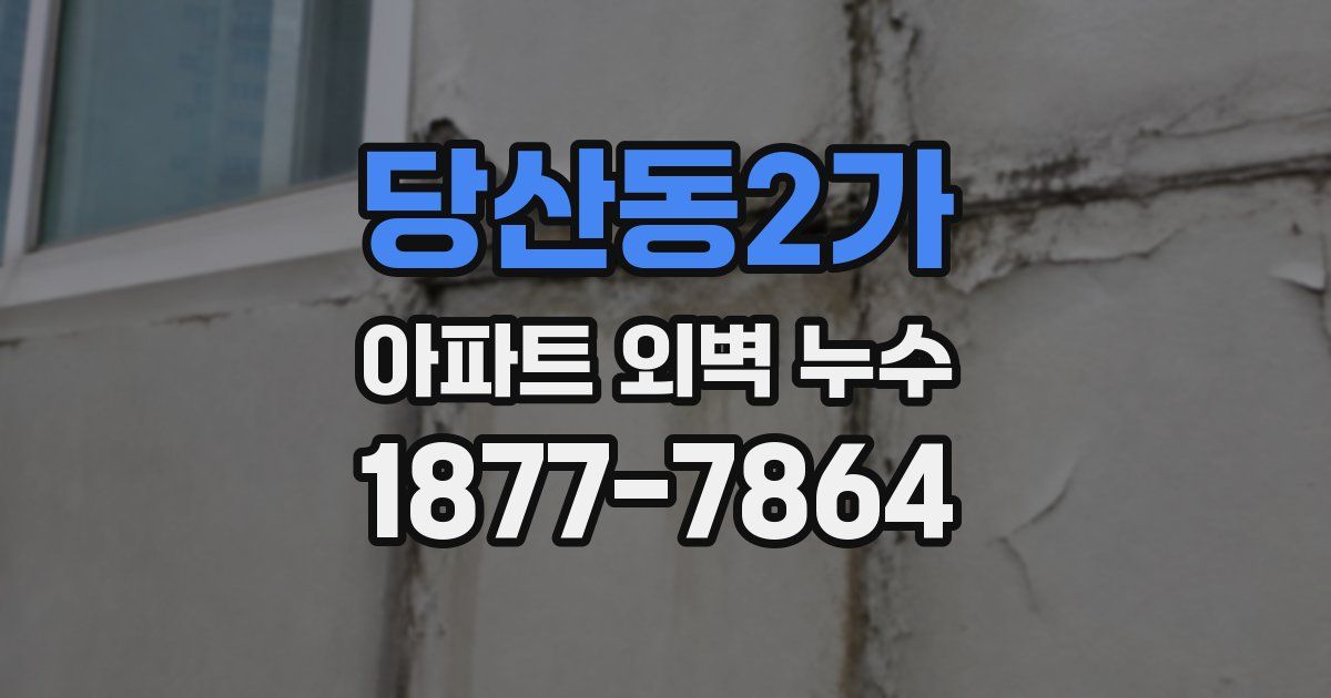 당산동2가 아파트 외벽 누수