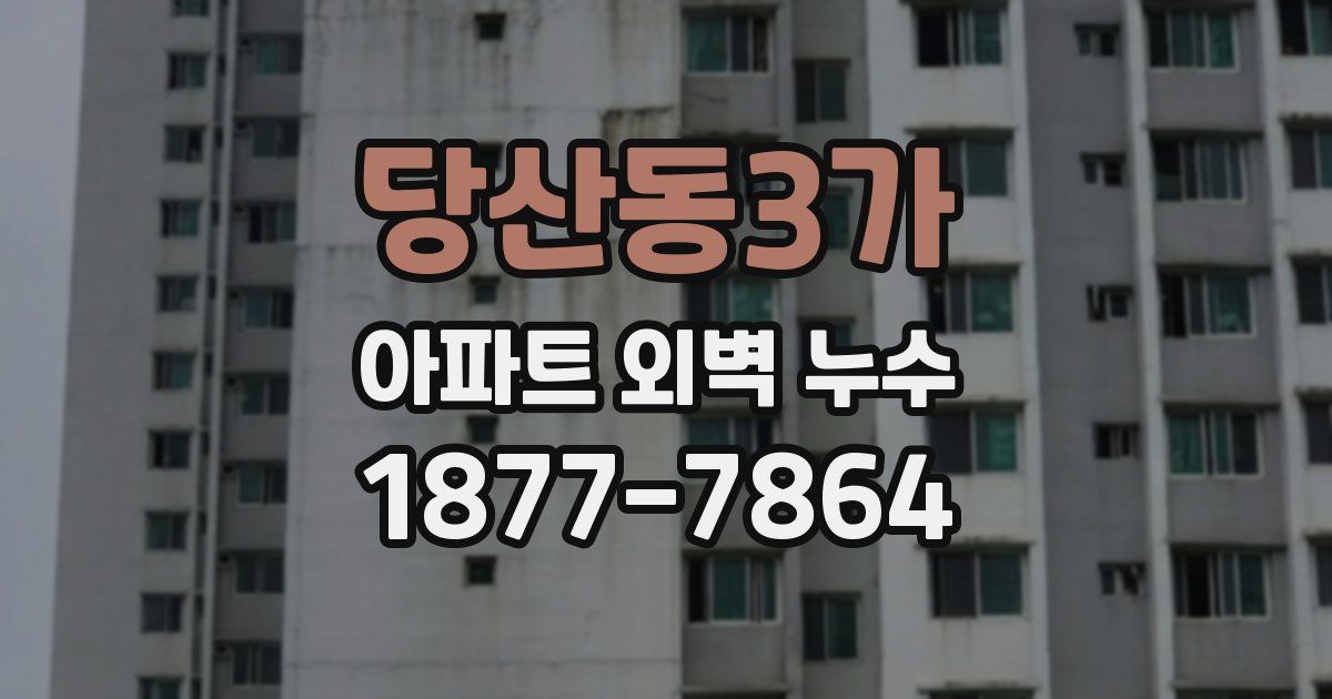 당산동3가 아파트 외벽 누수