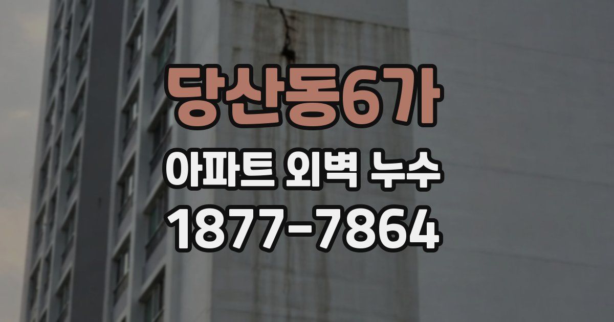 당산동6가 아파트 외벽 누수