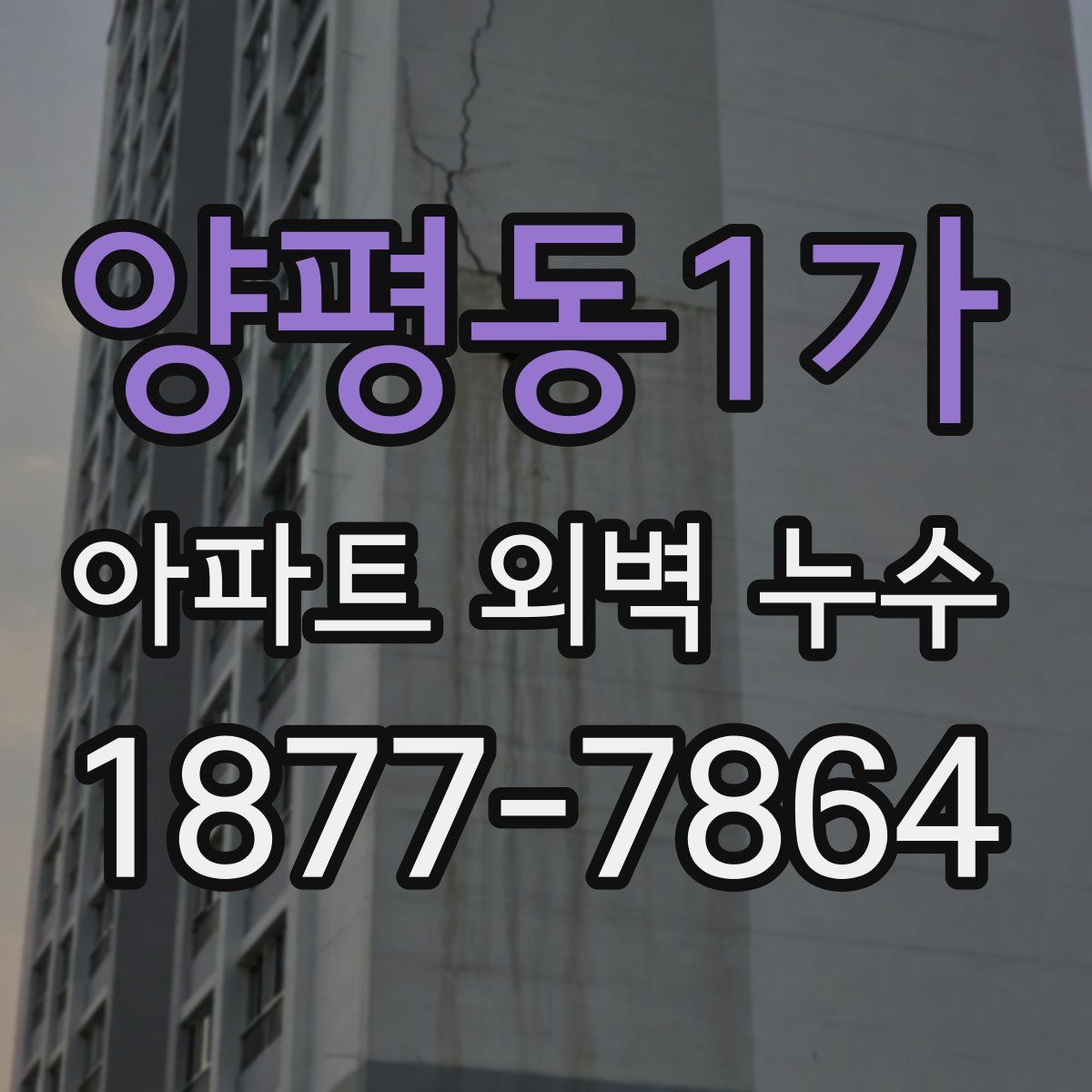 양평동1가 아파트 외벽 누수