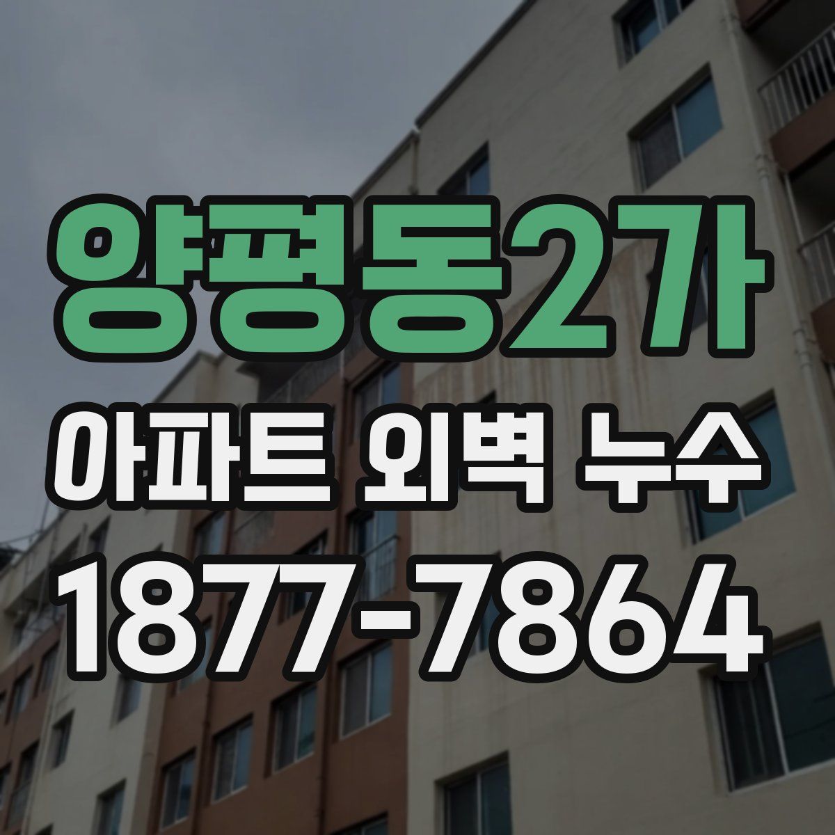 양평동2가 아파트 외벽 누수