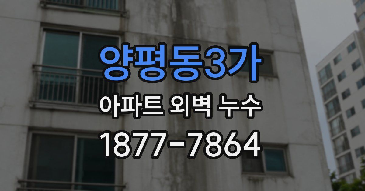 양평동3가 아파트 외벽 누수
