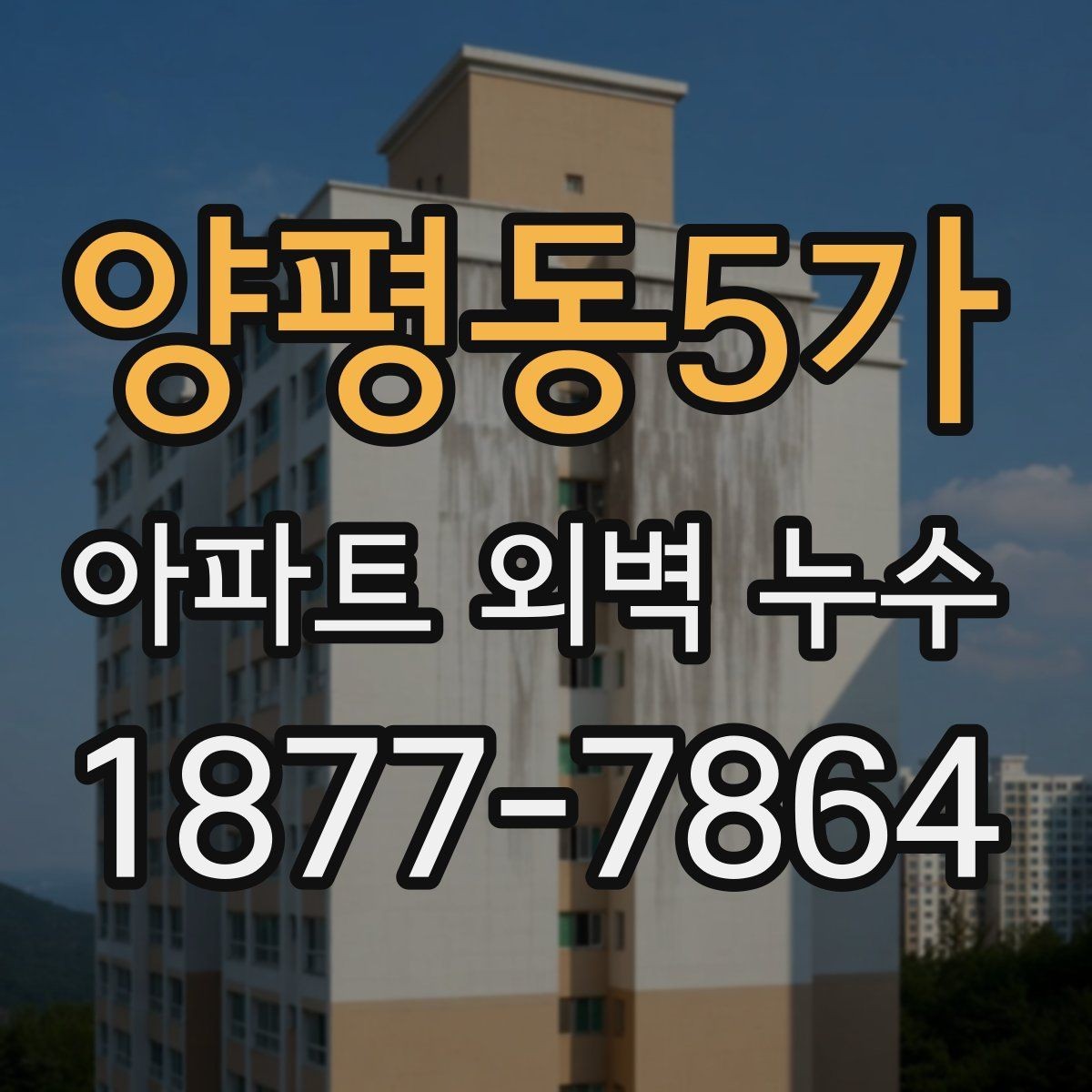 양평동5가 아파트 외벽 누수 초기 대응부터 공사까지 한눈에