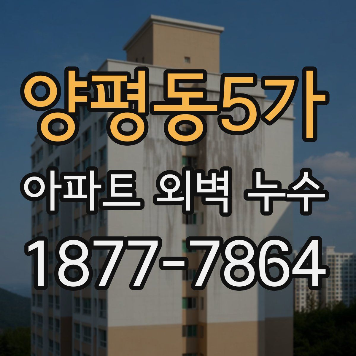 양평동5가 아파트 외벽 누수