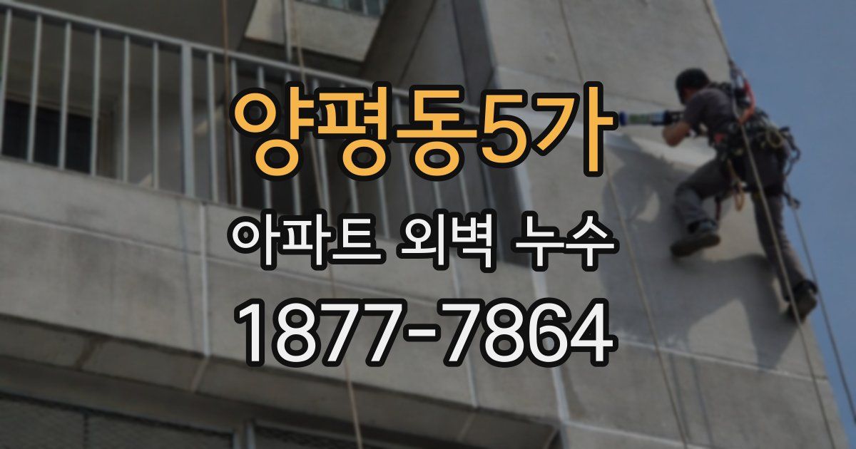 양평동5가 아파트 외벽 누수