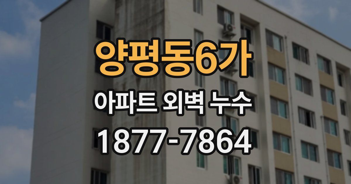 양평동6가 아파트 외벽 누수