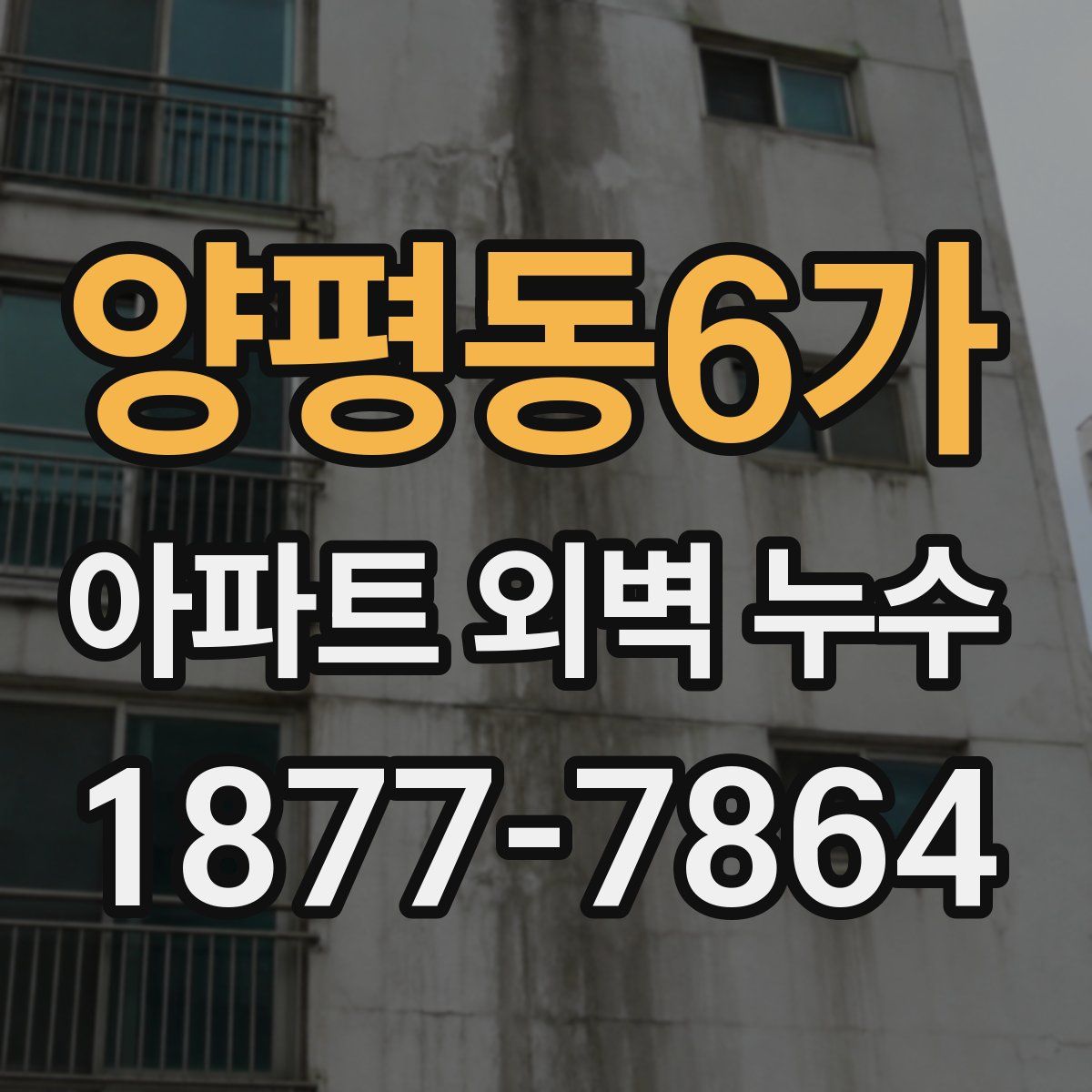 양평동6가 아파트 외벽 누수