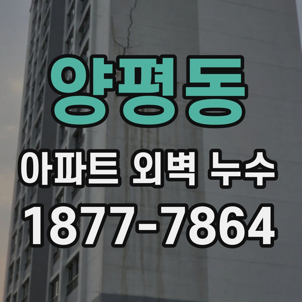 양평동 아파트 외벽 누수