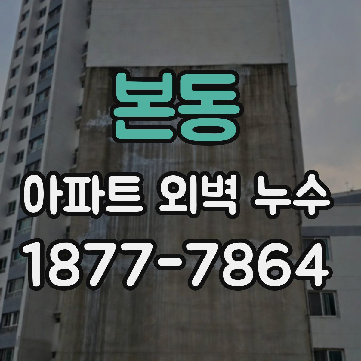 본동 아파트 외벽 누수