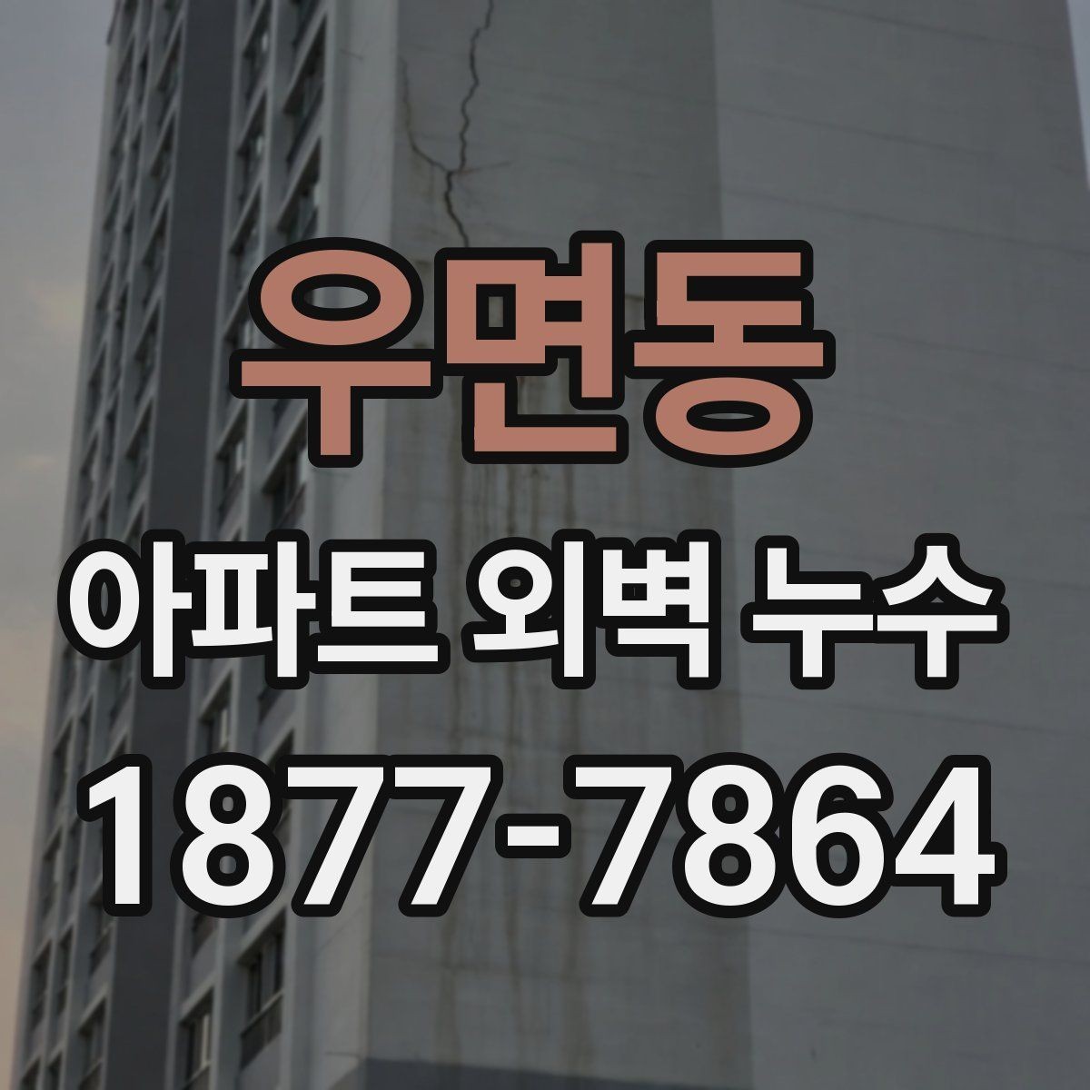 우면동 아파트 외벽 누수 보수 후 하자 재발 점검