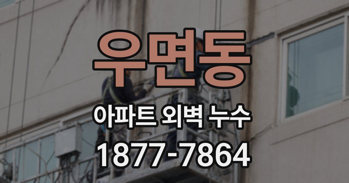 우면동 아파트 외벽 누수