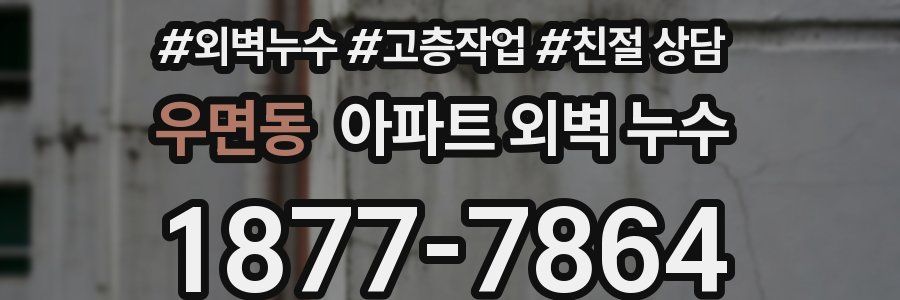 우면동 아파트 외벽 누수