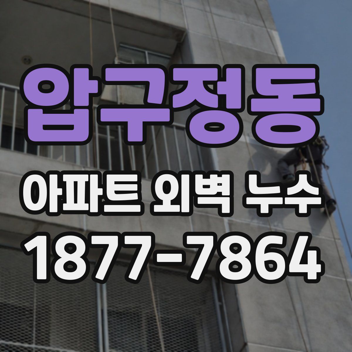 압구정동 아파트 외벽 누수