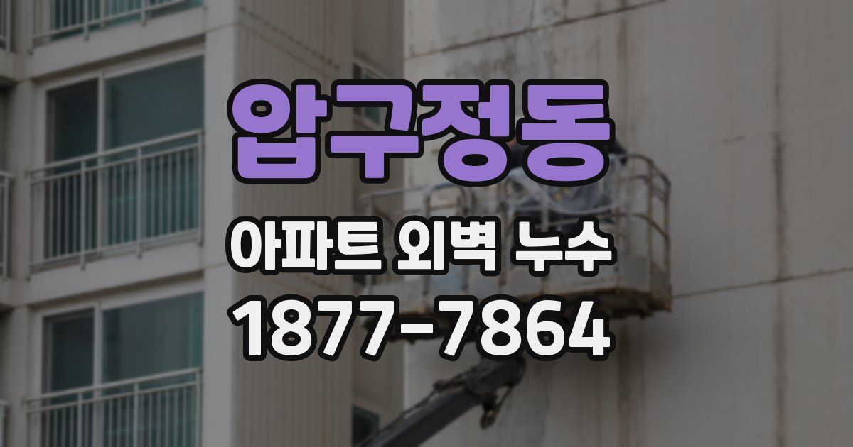 압구정동 아파트 외벽 누수