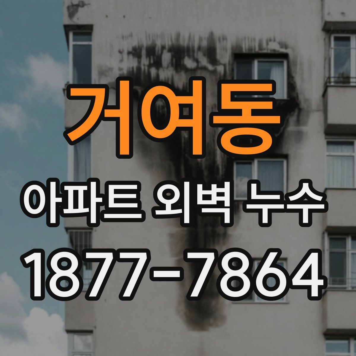 거여동 아파트 외벽 누수