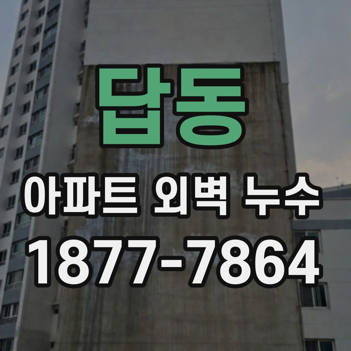 답동 아파트 외벽 누수