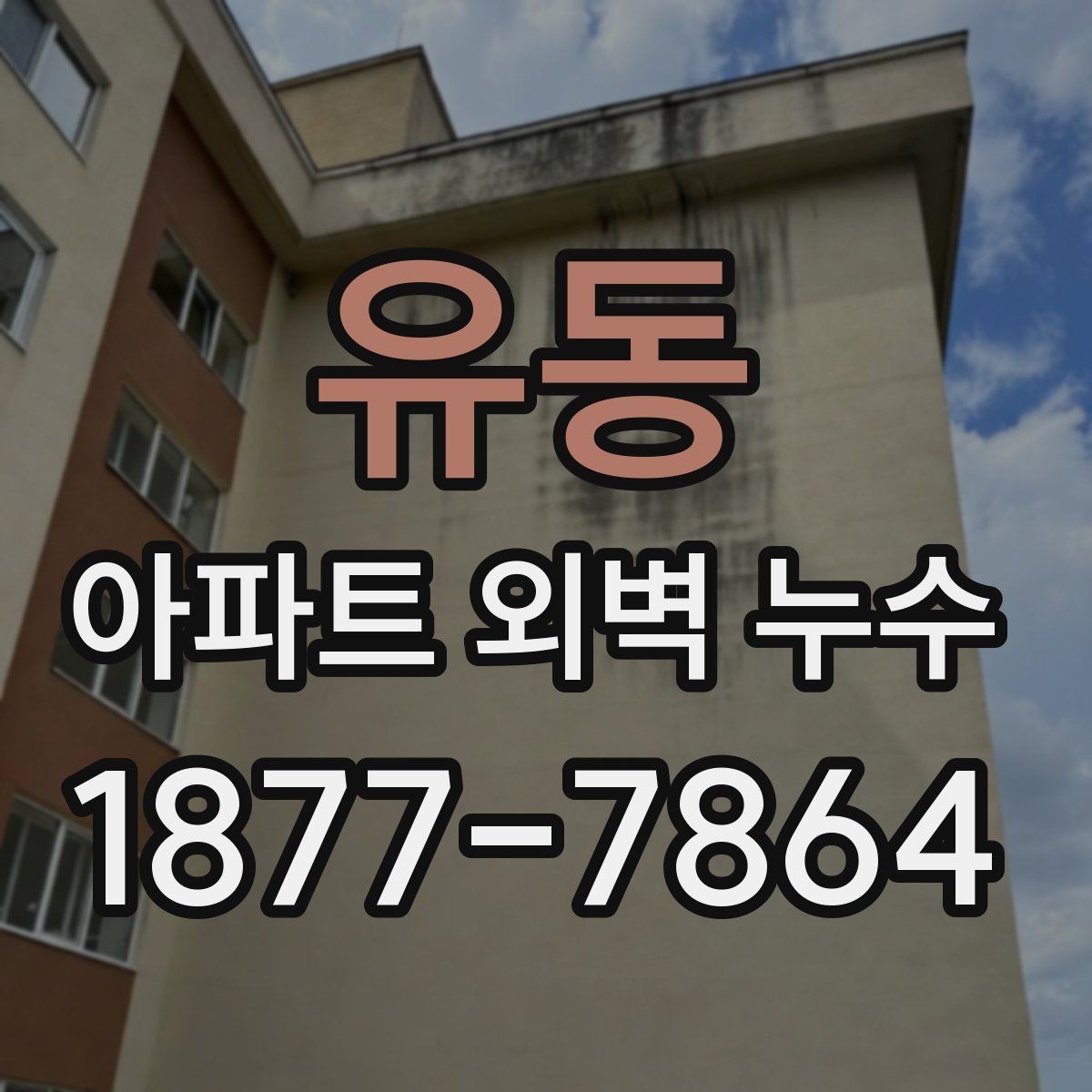 유동 아파트 외벽 누수 판별을 위한 기본 점검 항목