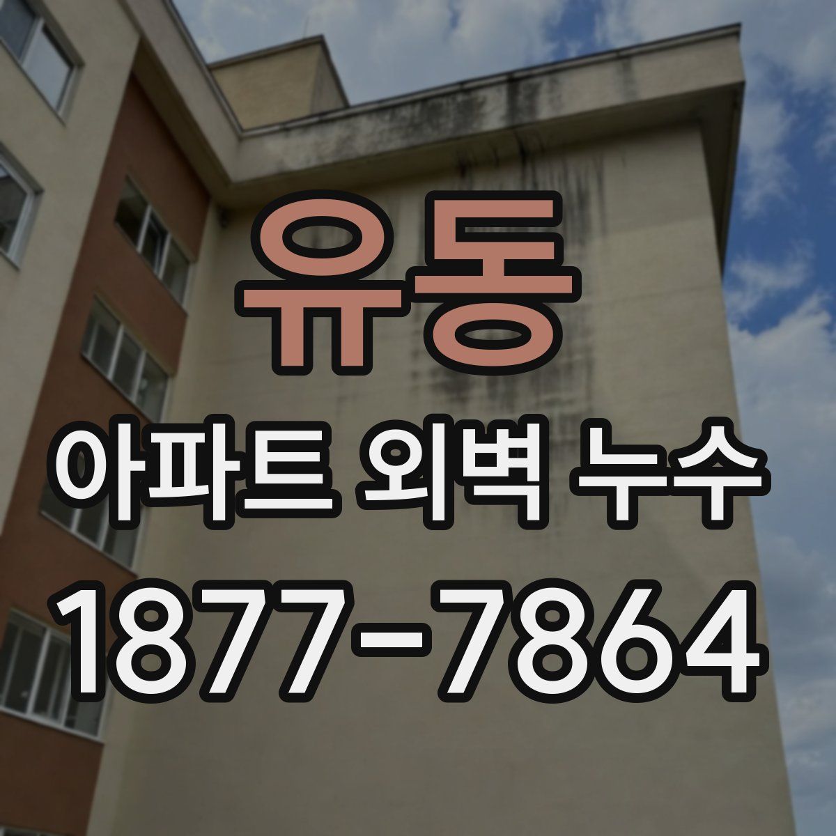 유동 아파트 외벽 누수
