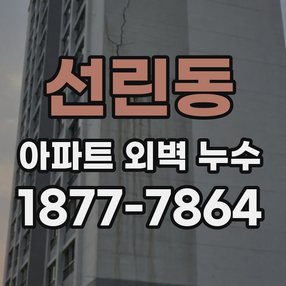 선린동 아파트 외벽 누수