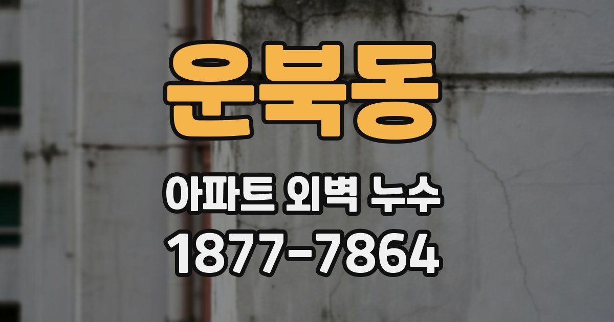 운북동 아파트 외벽 누수