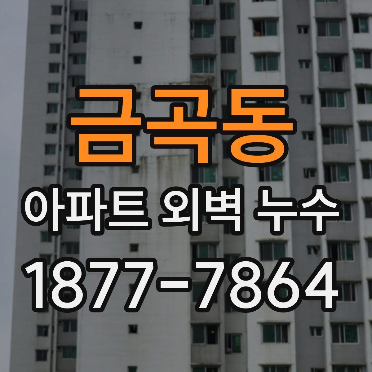 금곡동 아파트 외벽 누수 보수 시 공사 방식별 특징
