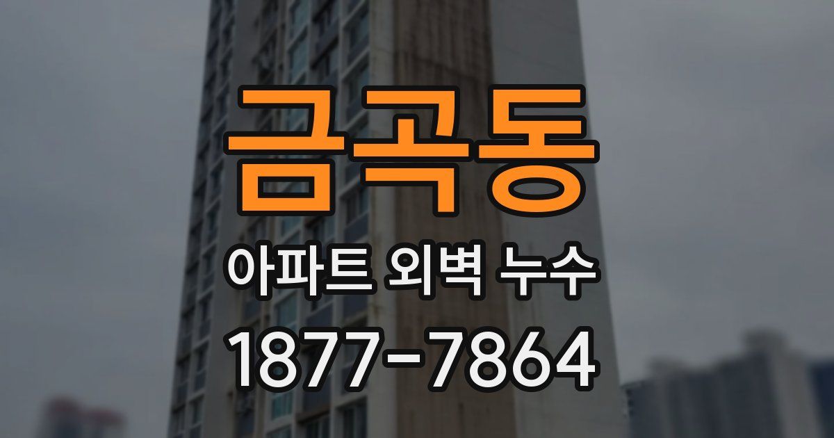 금곡동 아파트 외벽 누수