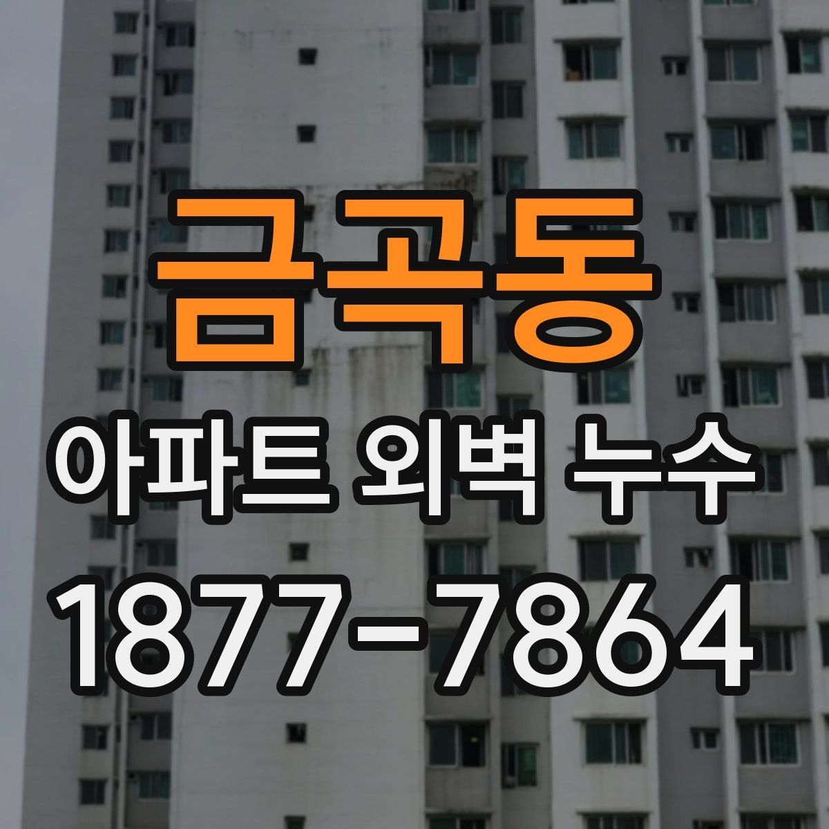 금곡동 아파트 외벽 누수