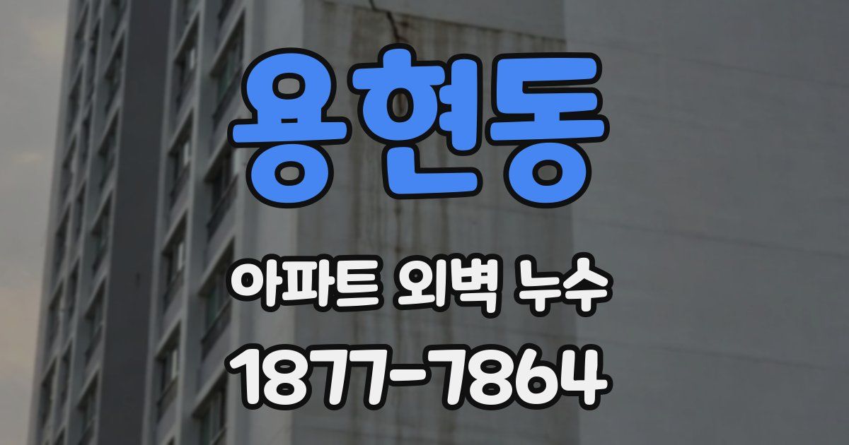 용현동 아파트 외벽 누수